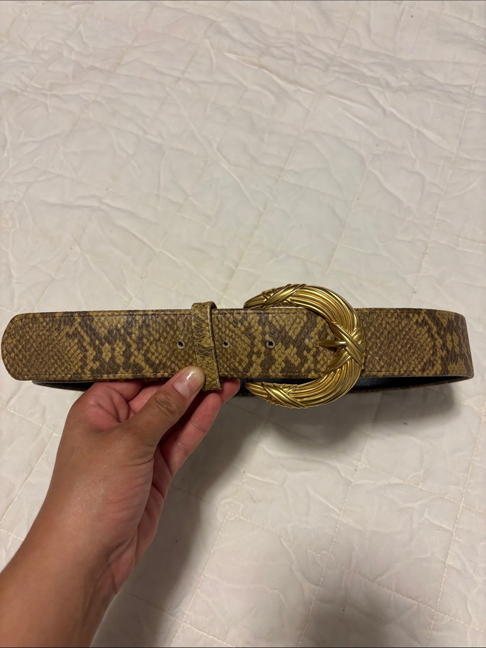 Snake Leather Belt with Gold Statement Buckle - Vintage